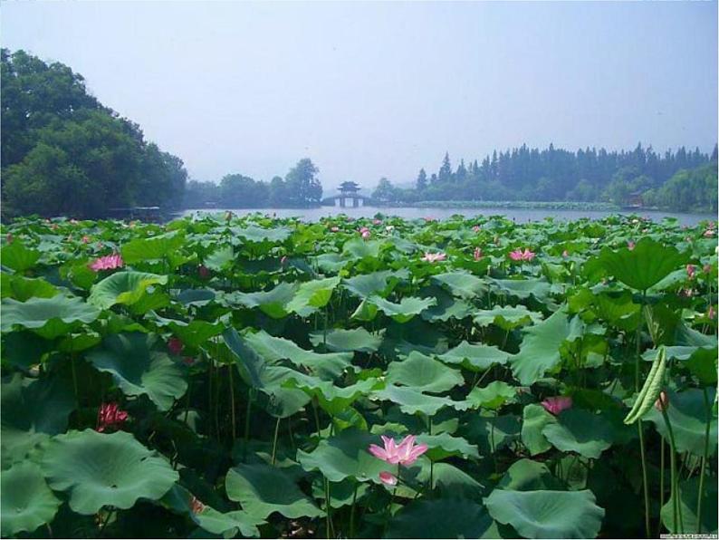 语文新人教选修《中国古代诗歌散文欣赏》:《苏幕遮》课件2第2页