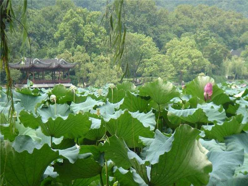 语文新人教选修《中国古代诗歌散文欣赏》:《苏幕遮》课件2第3页