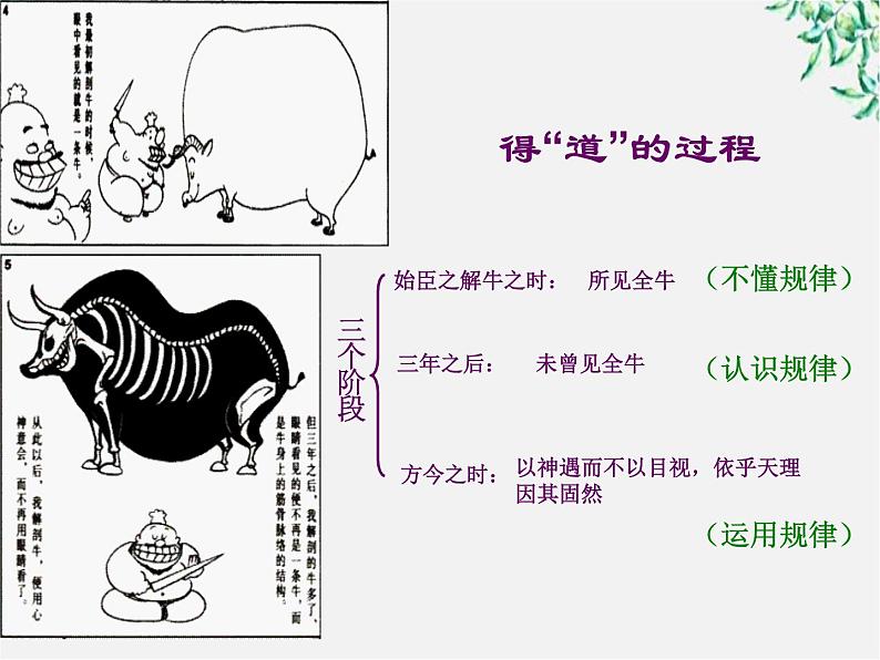 高中语文人教版选修大全:《庖丁解牛》课件3第4页