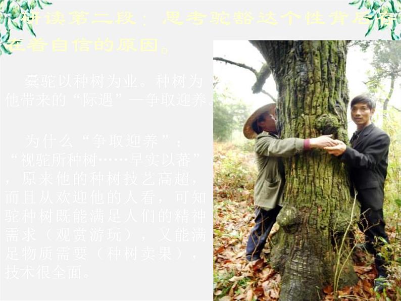 高中语文人教版选修大全:《种树郭橐驼传》课件第6页
