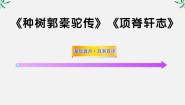 高中语文人教版 (新课标)选修《中国古代诗歌散文欣赏》第六单元 文无定格 贵在鲜活种树郭橐驼传复习ppt课件
