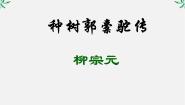 高中语文人教版 (新课标)选修种树郭橐驼传教课内容ppt课件