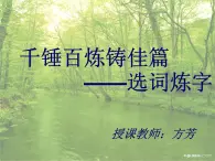 高中语文人教版选修大全：《语不惊人死不休——选词和炼句》课件6