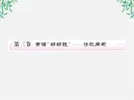 高中语文《语言文字应用》备课精选：5-3《有话“好好说”—修改病句》课件 新人教版选修
