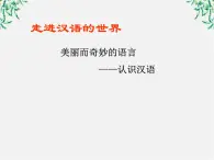 高中语文人教版选修大全：《美丽而奇妙的语言：认识汉语》课件1