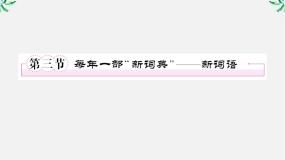 人教版 (新课标)选修第三节 每年一部“新词典”--新词语备课课件ppt