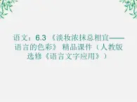 高二语文：6.3 《淡妆浓抹总相宜——语言的色彩》 精品课件（人教版选修《语言文字应用》）