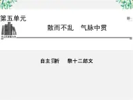 -年高中语文《祭十二郎文》课件 新人教版选修《中国古代诗歌散文欣赏》