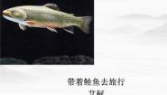 高中语文人教版 (新课标)选修2.带着鲑鱼去旅行教学ppt课件