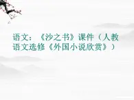 高二语文：《沙之书》课件（人教语文选修《外国小说欣赏》）