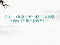 高二语文：《炼金术士》课件（人教语文选修《外国小说欣赏》）