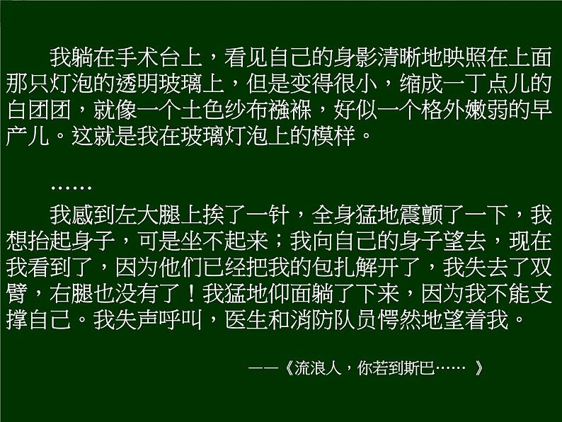 高二语文:《在桥边》课件(人教语文选修《外国小说欣赏》)06