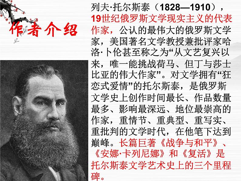 山东省沂水县第一中学高二语文选修外国小说《娜塔莎》课件(新人教版)第5页