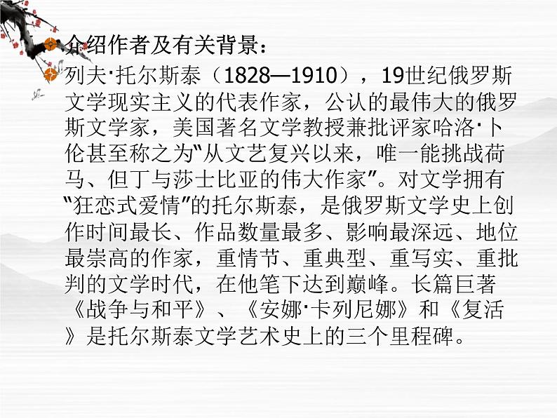 高中语文《娜塔莎》课件4(人教版选修)05