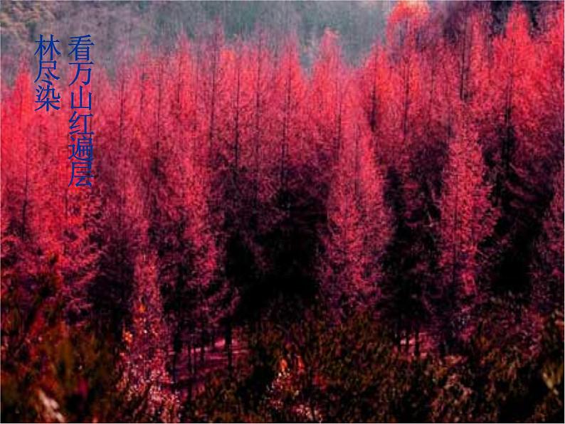 届高一语文同步课件:1.1.1《沁园春·长沙》6(苏教版必修1)62第8页