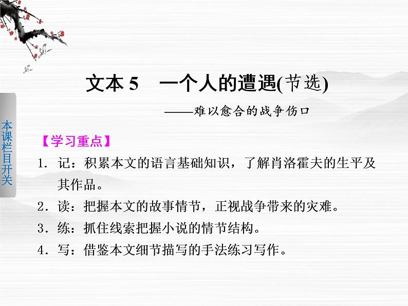 《学案导学设计》高一语文配套课件:2.1一个人的遭遇(节选)(苏教版必修2)51502