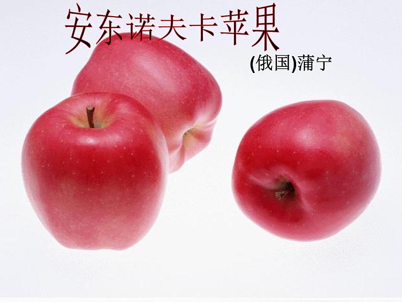 (安徽专用)高中语文:《安东诺夫卡苹果》课件3《人教选修外国小说欣赏》02