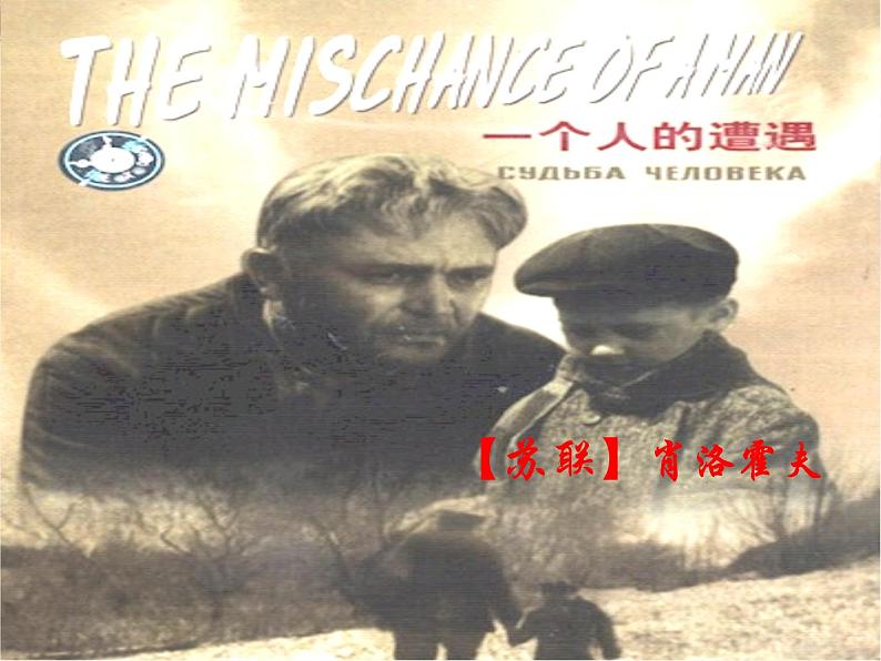 苏教版 必修二 一个人的遭遇课件PPT01