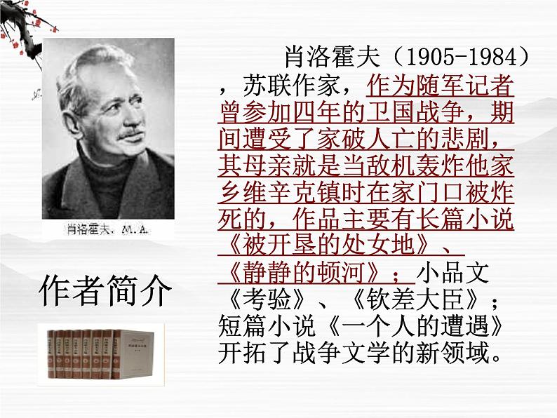 苏教版 必修二 一个人的遭遇课件PPT07