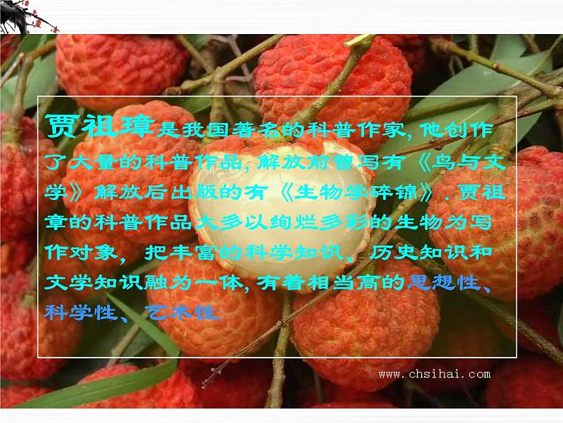 语文:1.2.1《南州六月荔枝丹》课件(1)(苏教版08版必修5)第2页
