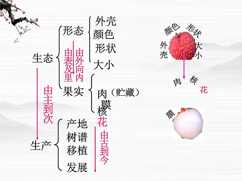 语文:1.2.1《南州六月荔枝丹》课件(1)(苏教版08版必修5)第4页