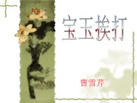 《宝玉挨打》ppt课件2