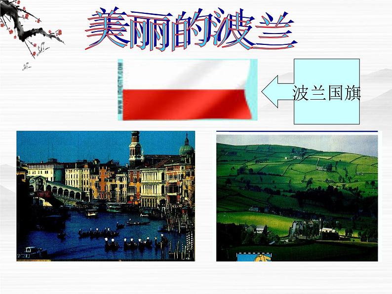 (安徽专用)高中语文:《居里夫人传》课件1 苏教版选修《传记选读》第2页