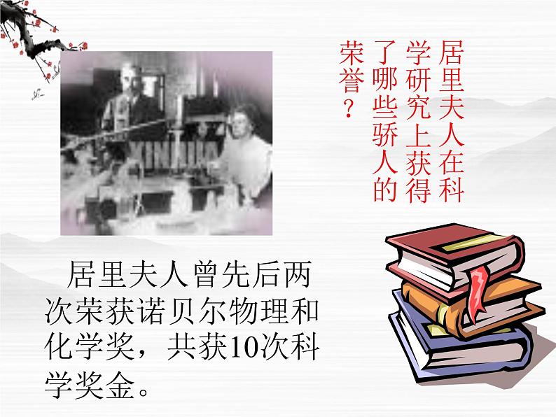 (安徽专用)高中语文:《居里夫人传》课件1 苏教版选修《传记选读》第3页