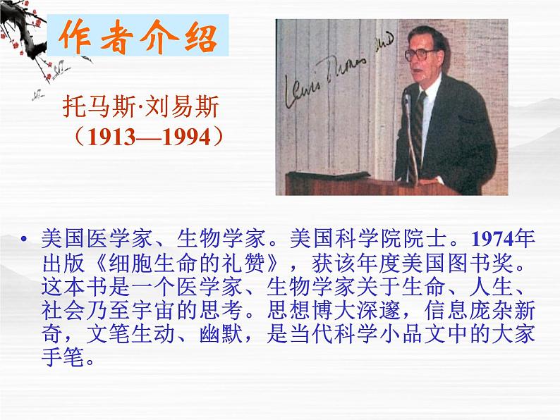 《这个世界的音乐》课件(北京版必修1)02