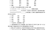 高中北京版11 这个世界的音乐习题