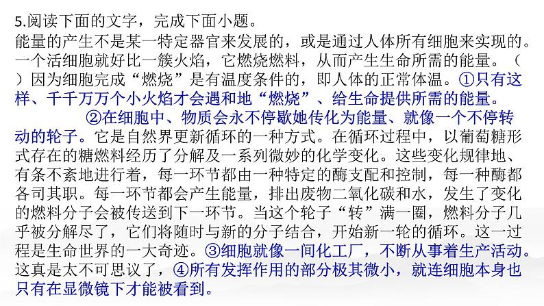 2022届高考语文复习《准确理解,辨清用法,正确运用修辞手法》课件58张07