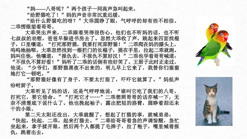 2022届高考专题复习:文学类文本阅读4小说(分析环境艺术)课件32张07