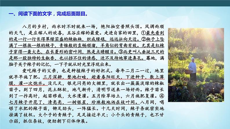 高考语文复习--- 精准辨析修辞,赏析句式效果 (1)课件PPT第6页