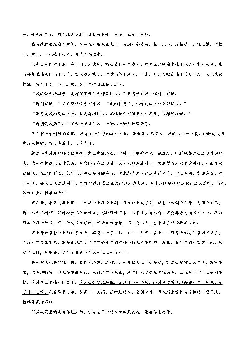 考点12 文学类文本阅读—分析鉴赏小说的语言(限时检测)(解析版)第2页