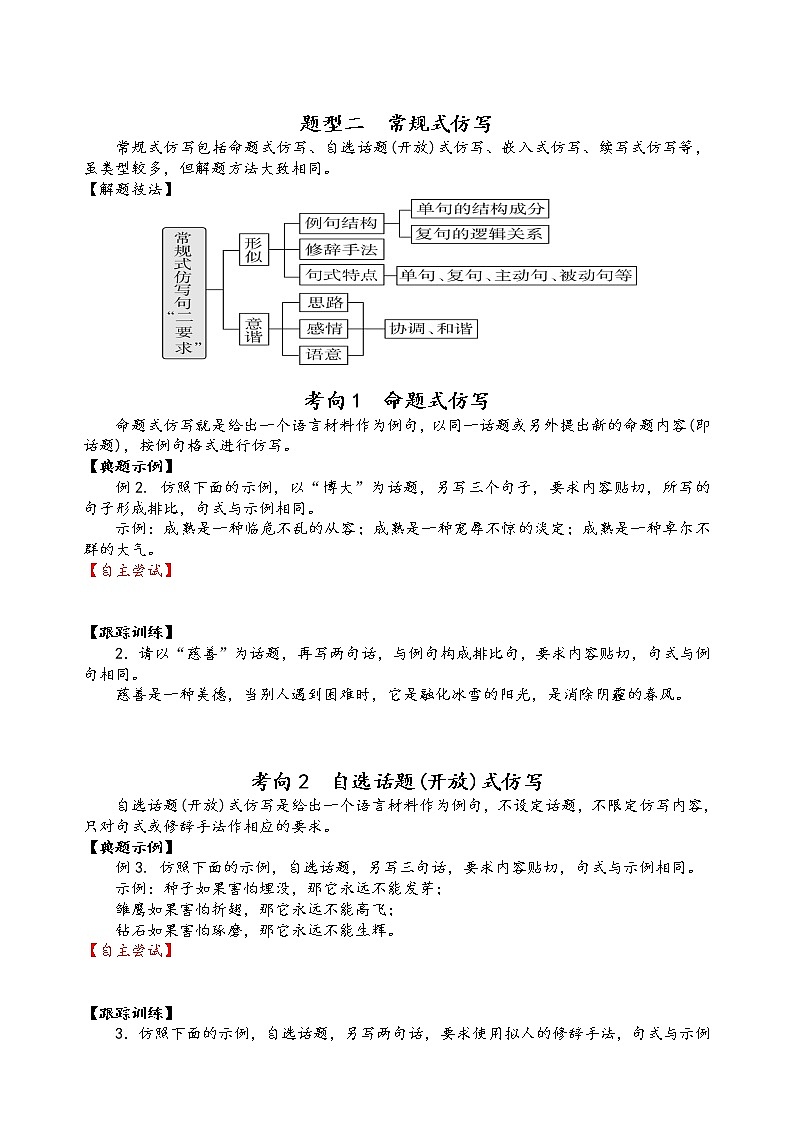 第十讲 仿用句式精讲精练(原卷版)第2页