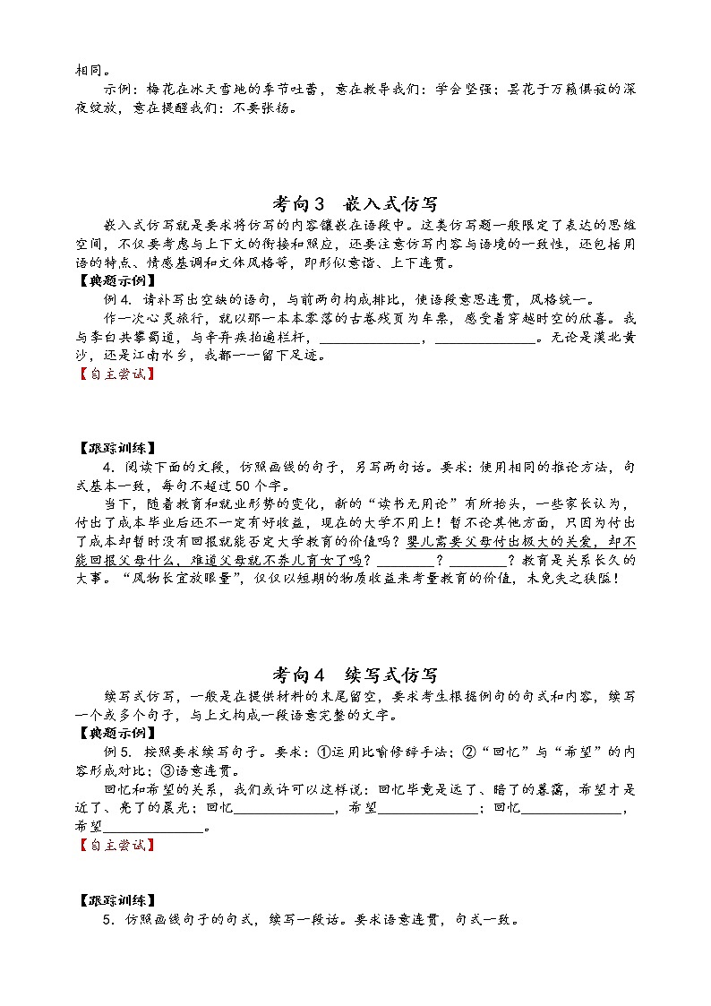第十讲 仿用句式精讲精练(原卷版)第3页