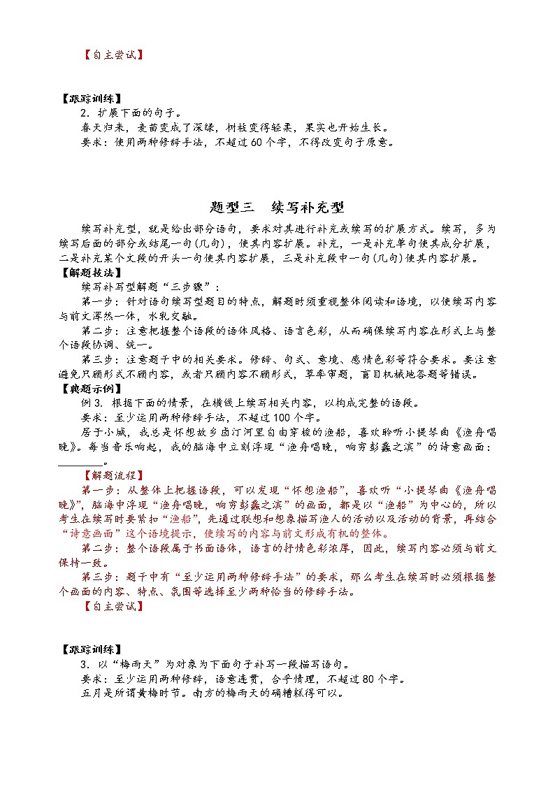 第九讲 扩展语句与压缩语段精讲精练(原卷版)第3页