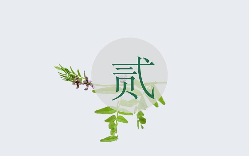 人教版高中语文必修二《诗经》两首分层课件+教案+练习08