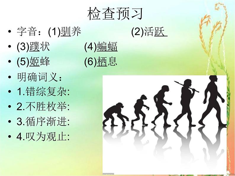 13 自然选择的证明 课件-高二语文统编版(2019)选择性必修下册第7页
