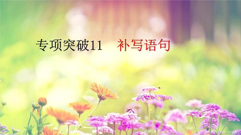 2022届高考专题复习:补写语句专项突破 课件21张01