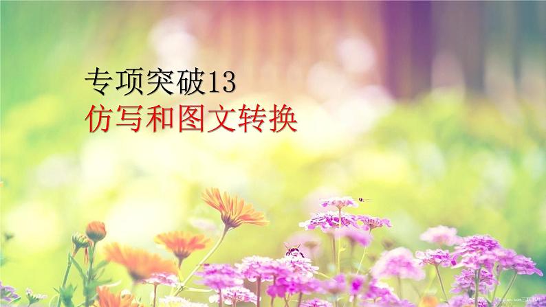2022届高考专题复习:仿写和图文转换专项突破 课件24张第1页
