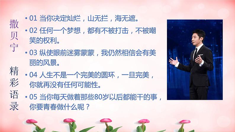 高考语文复习--央视主持人的惊艳语录课件PPT第3页
