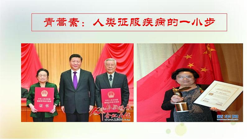 7.1《青蒿素:人类征服疾病的一小步》课件26张2021-2022学年高中语文统编版必修下册04