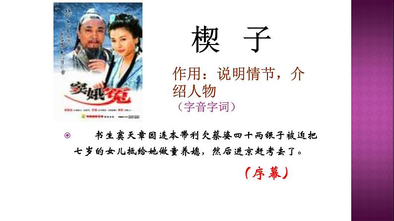 人教部编版高中语文必修下册4.窦娥冤 课件第5页