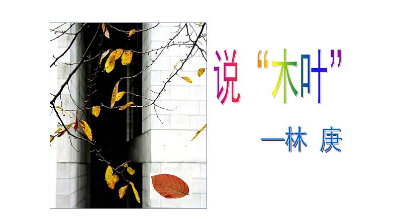 人教部编版高中语文必修下册9. 说“木叶” 课件第1页