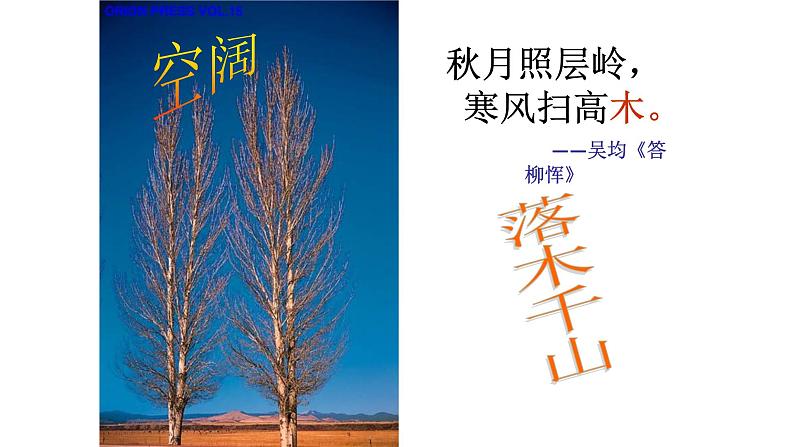 人教部编版高中语文必修下册9. 说“木叶” 课件第7页