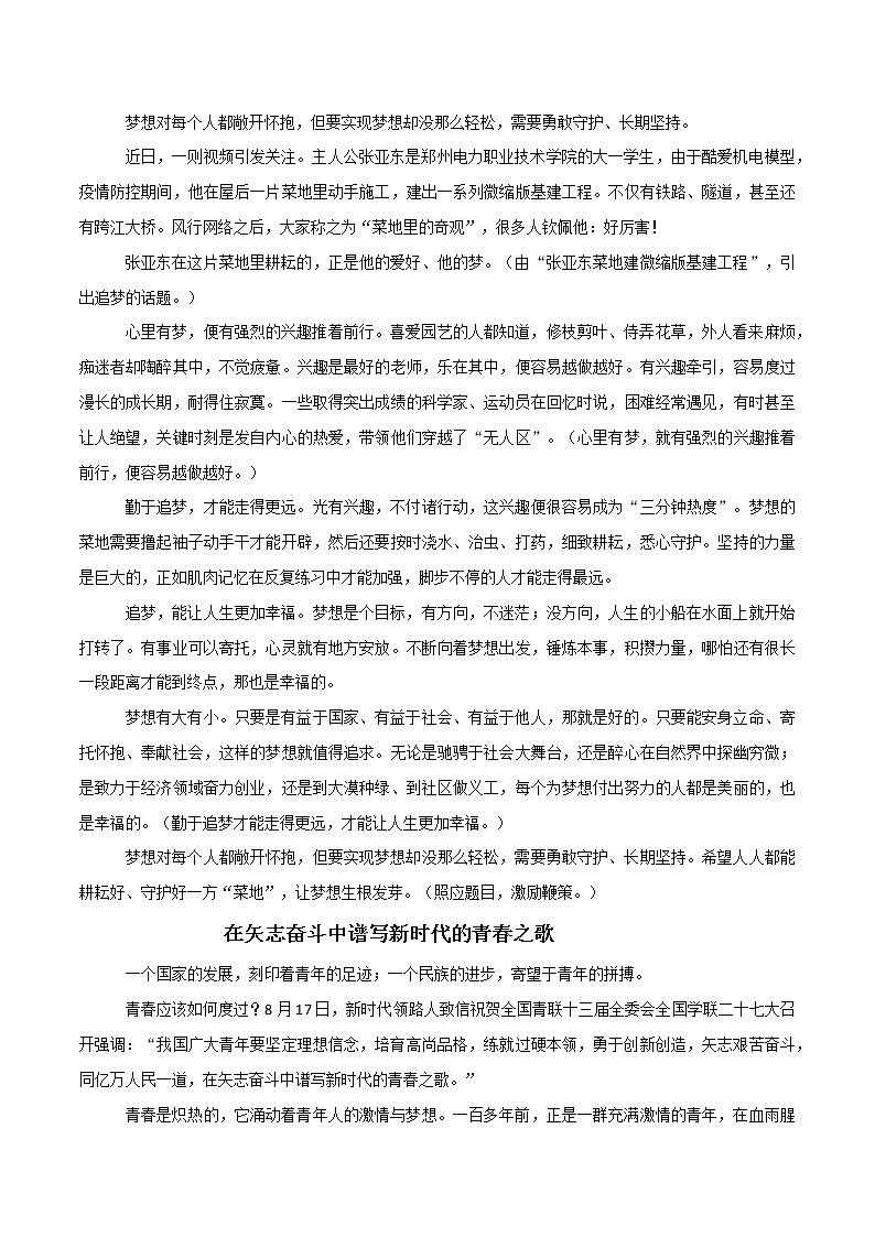 主题梳理06:耕耘梦想的“菜地”-备战2022年高考作文之社会热点素材主题梳理第3页