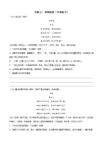 專題20 詩歌鑒賞(專項(xiàng)練習(xí))-2021-2022學(xué)年高一下學(xué)期語文期末考點(diǎn)大串講(統(tǒng)編版)