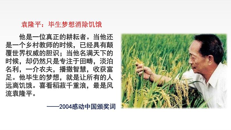 《喜看稻菽千重浪》《心有一团火,温暖众人心》《“探界者”钟杨》 群文教学课件32张 2021-2022学年统编版高中语文必修上册第6页