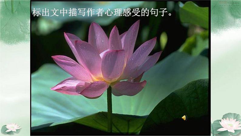 人教部编版高中语文必修上册 14.2荷塘月色 课件05